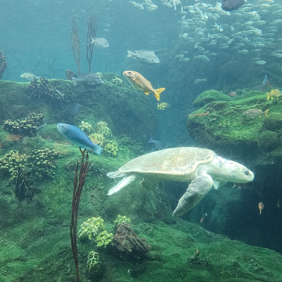 Meet your Posher, M - Picture 1 of 1